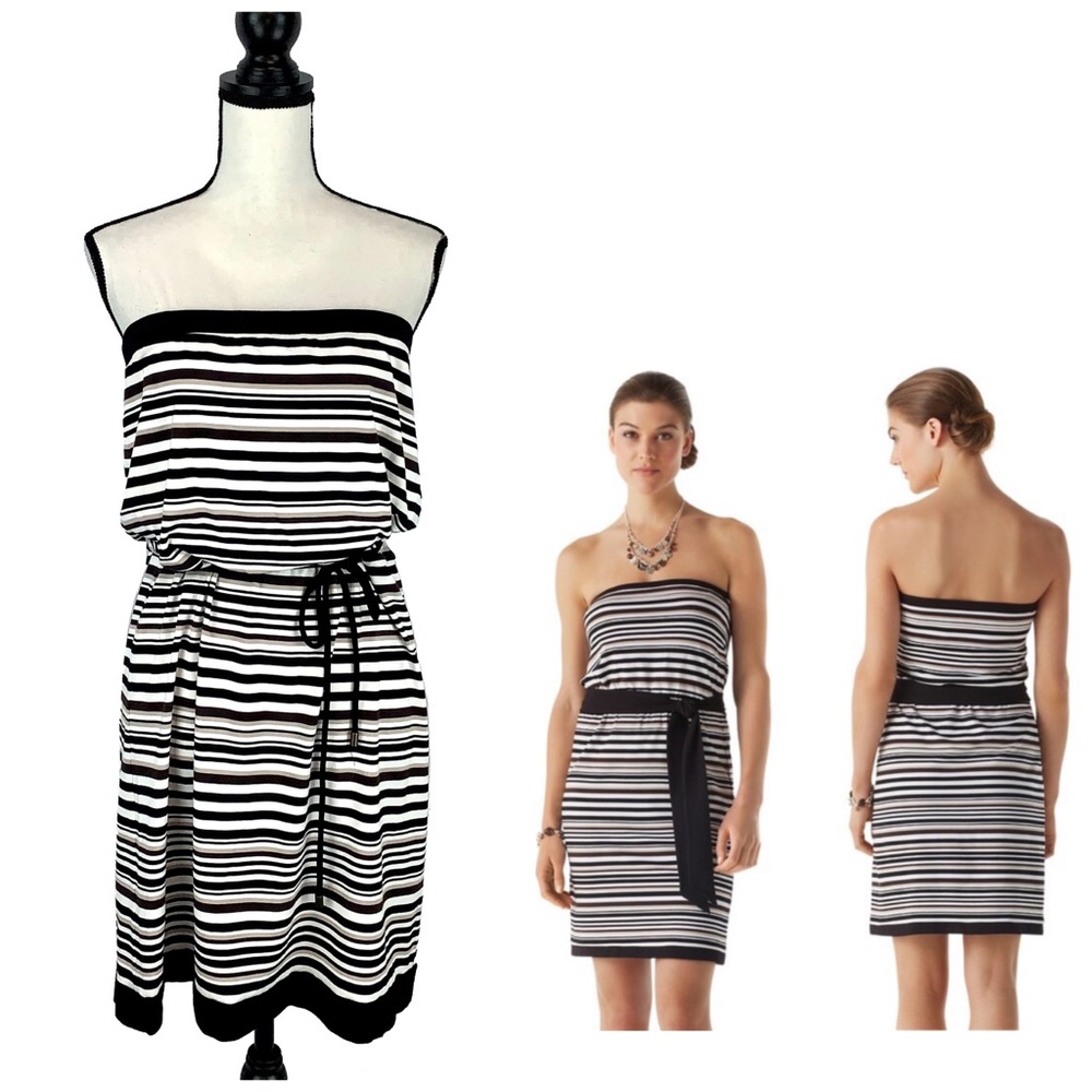 White House Black Market Blouson Knit Tube Dress